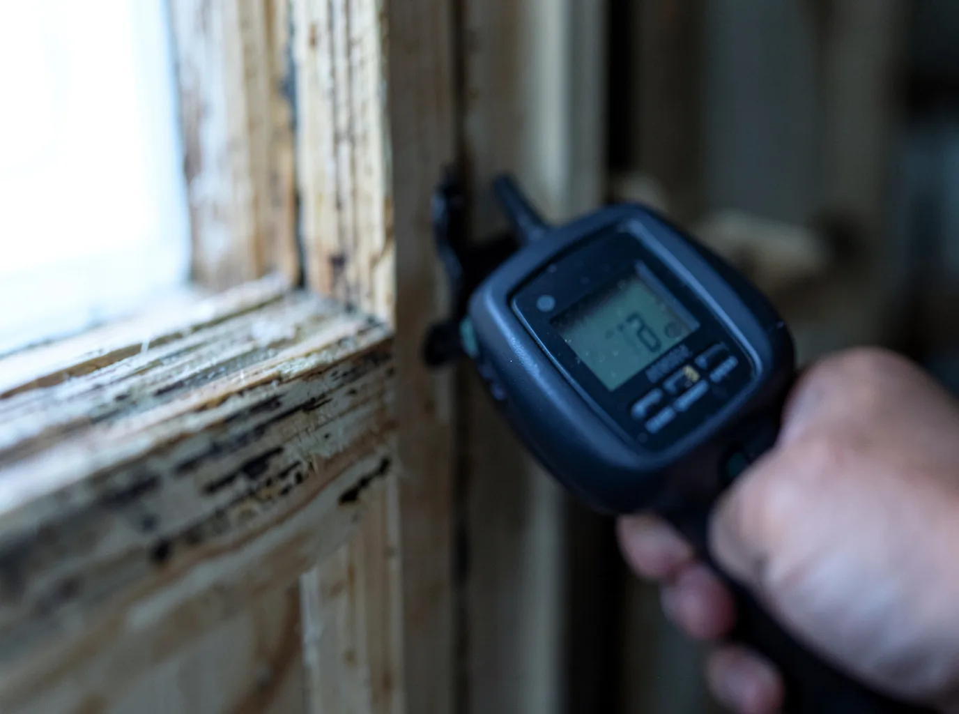 Moisture Inspection And Documentation in Topawa, AZ